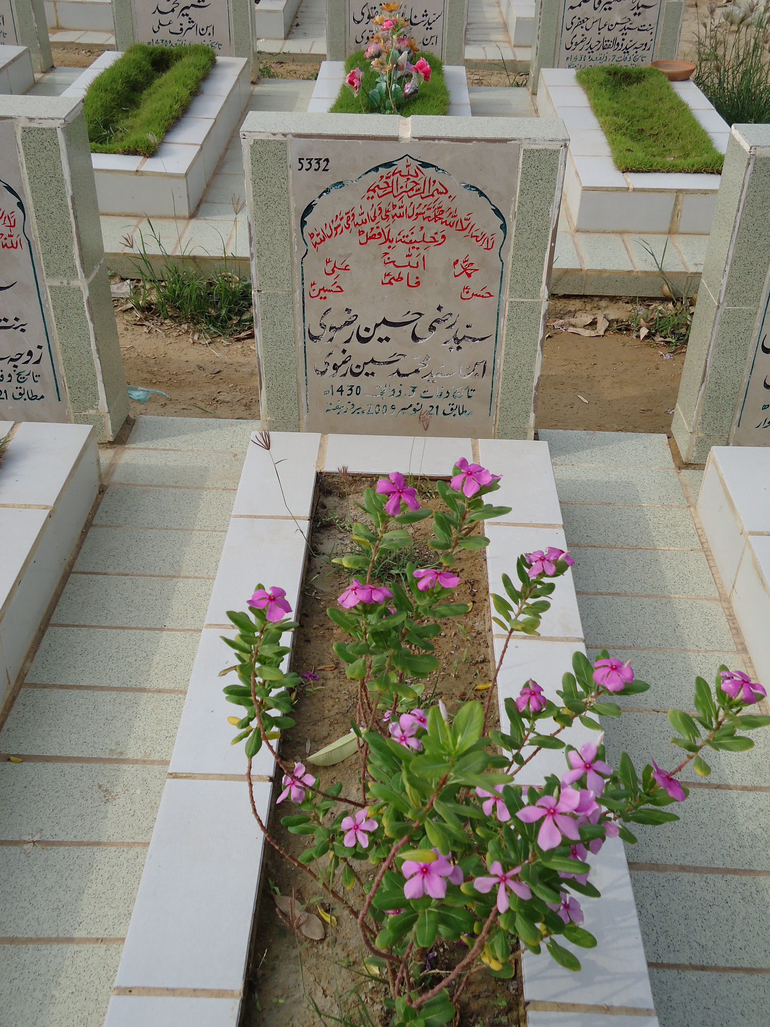 5332 – Syed Razi Hussain Rizvi